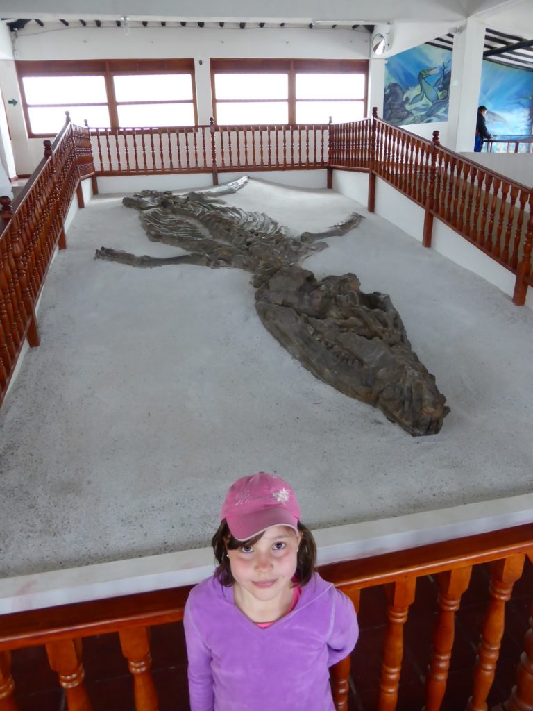 El Fosil, the giant kronosaur