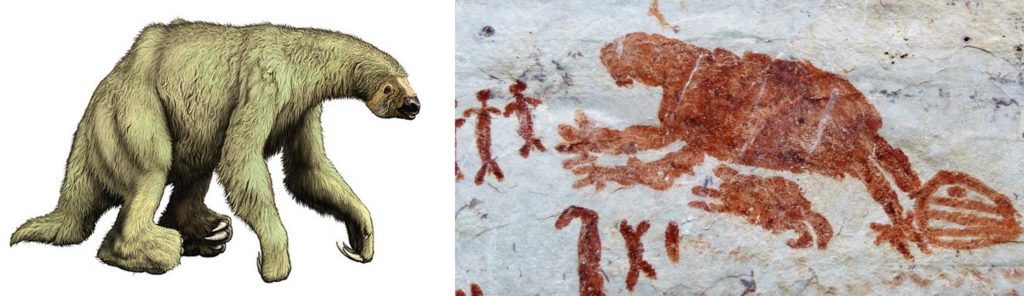 Visiting Guaviare in Colombia. artists impression of megatherium, left, a giant ground sloth living in South America but  hunted to extinction by humans 10,000 years ago. And on the right, a sloth-like animal painted by the artists who created the pictographs at Cerro Azul in Guaviare.  The sloth pictograph is anatomically correct: four clawed toes and a smaller toe on the powerful front limbs, and five toes on the foot.   The scale of the sloth to the human figures is also correct: the giant sloth was 6 metres long and weighed 4 tonnes. See my post The Giant Sloth Slaughter for more info on the amazing megatherium..