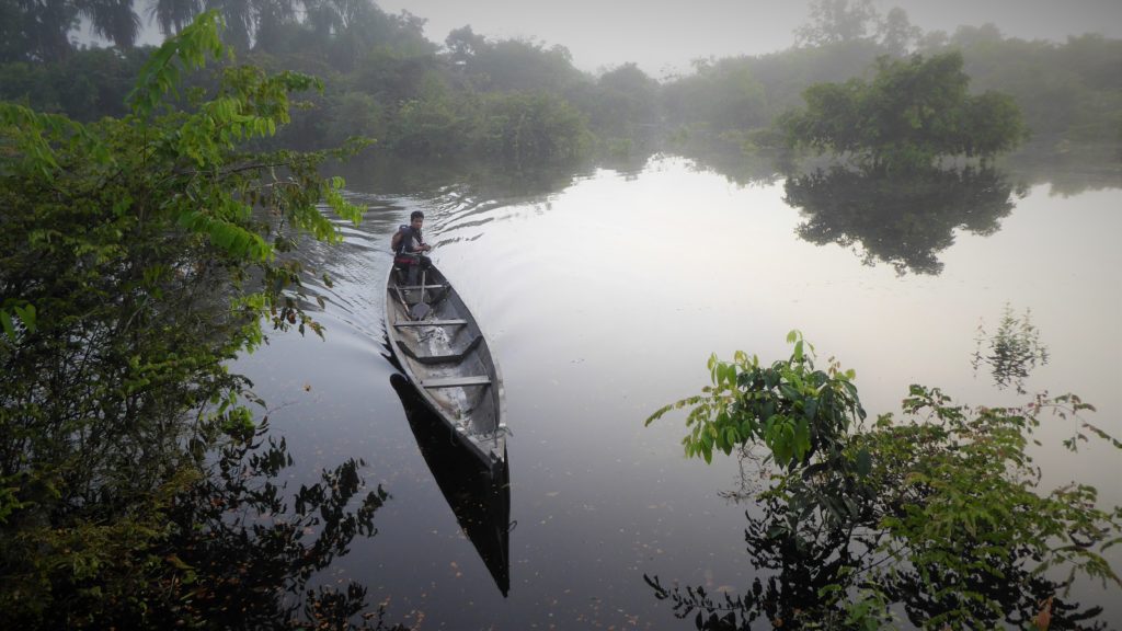  Colombian Amazon El Encanto: In the early morning, in San Rafael, Rio Cara Paraná, and  canoe with peque-.peque motor glides over a flooded forest. The Cara Paraná is a tributary of the Rio Putumayo, a major Amazon tributary that forms the border of Colombia and Peru. In May 2019 I travelled to San Rafael with a health team. 