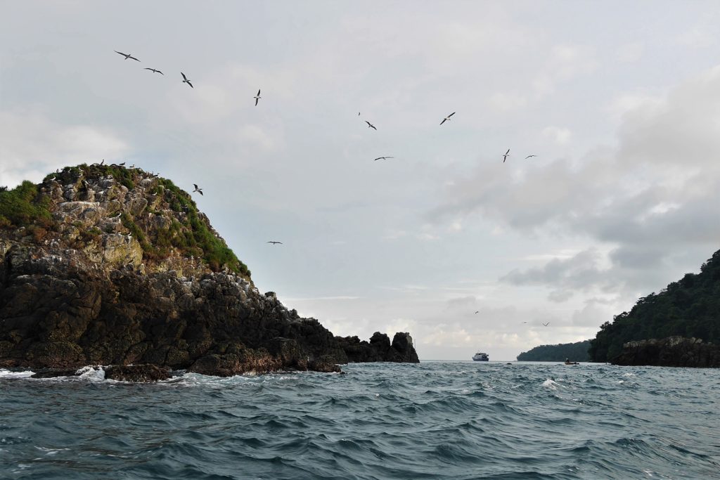 The rocky northern tip of Isla Gorgona is home to boobies and frigate birds. There is good diving here too.