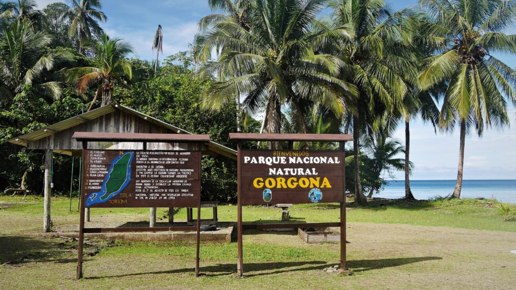 Isla Gorgona on a sunny day...it can also get rainy here too!
