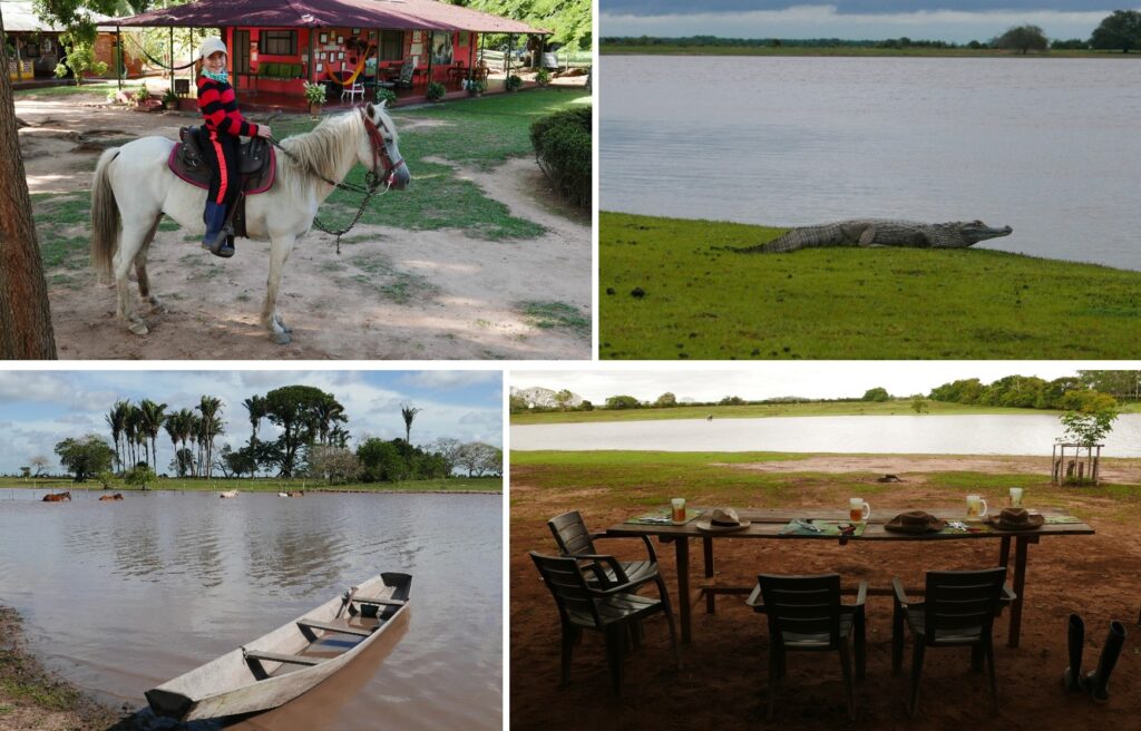A farm (Hato) visit is relaxed and involves a walk, horse ride or car ride. 