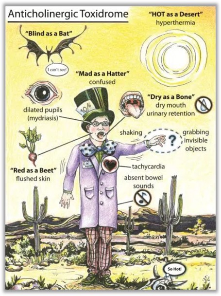 Symptoms of burundanga poisoning, graphic by Kloss and Bruce.