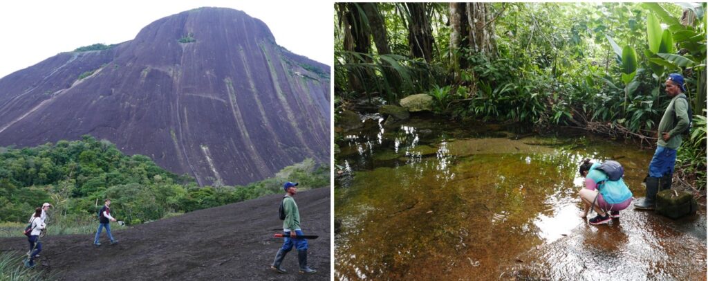 The three hour trek around the back of Pajarito hill takes you through some dense jungle.