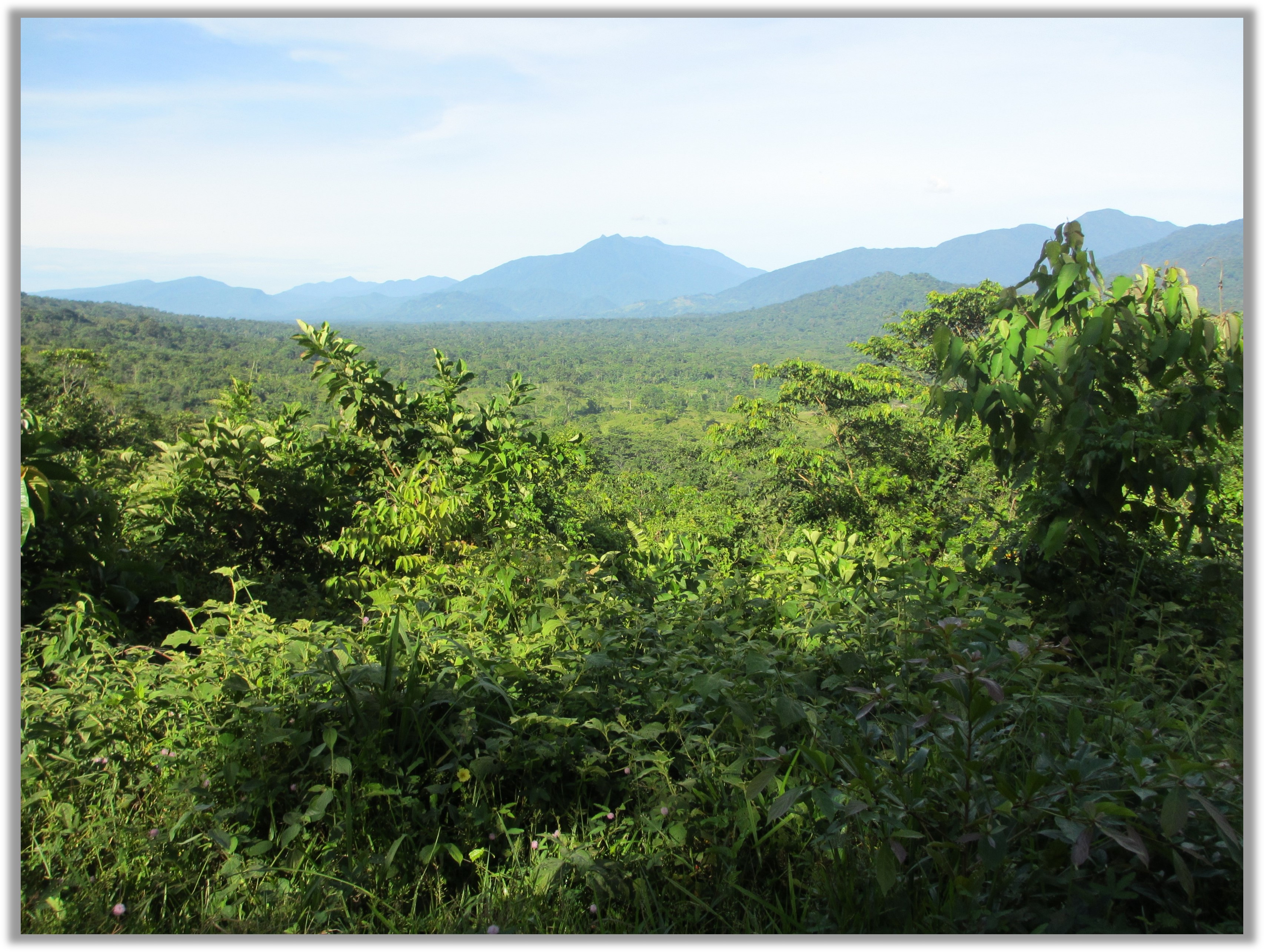 Jungle-clad hills on the Catatumbo border with Venezuela. Plenty of places to hide.