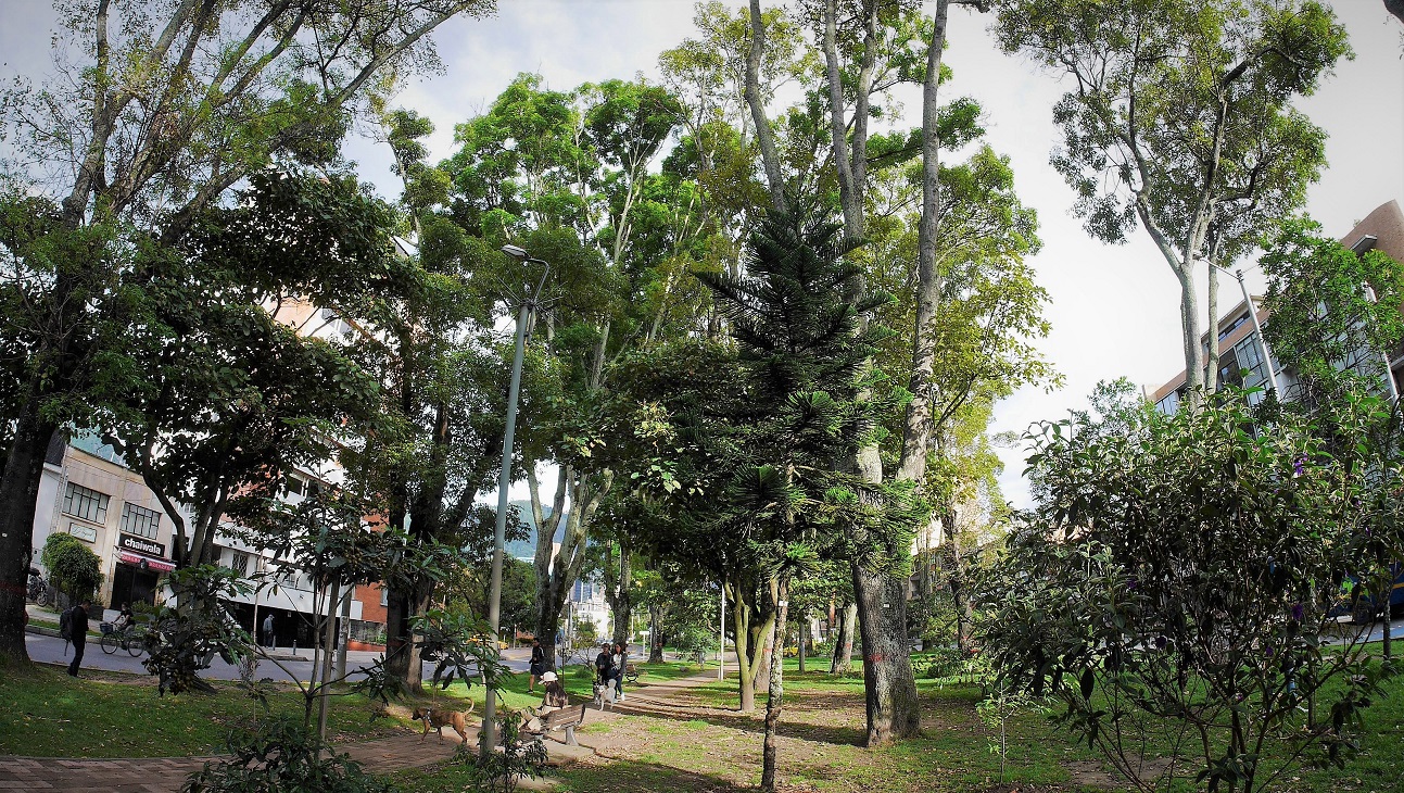 Leafy Parkway is an island of green in the heart of La Soledad, Bogotá.
