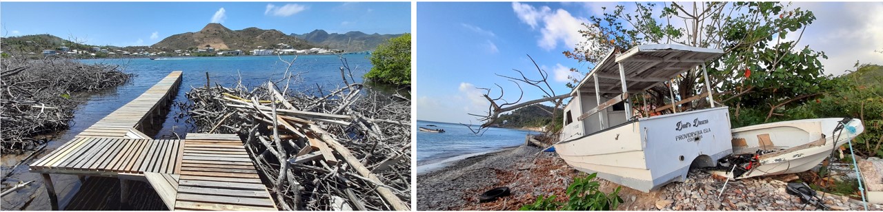 Cat 5 Hurricane Iota scalped ths island in November 2020. Mangroves are taking time to regrow. 