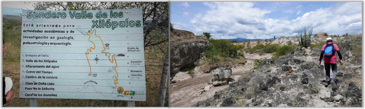 A walk in the valley of the xilópalos, where you can find fossil trees. 